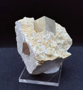 PIRITA Pyrite - NAVAJUN La Rioja España SPAIN MINERALES COLECCION 5x5x5cms B4 - Imagen 1 de 4