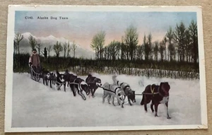 VINTAGE POSTCARD ALASKA DOG TEAM - Picture 1 of 4