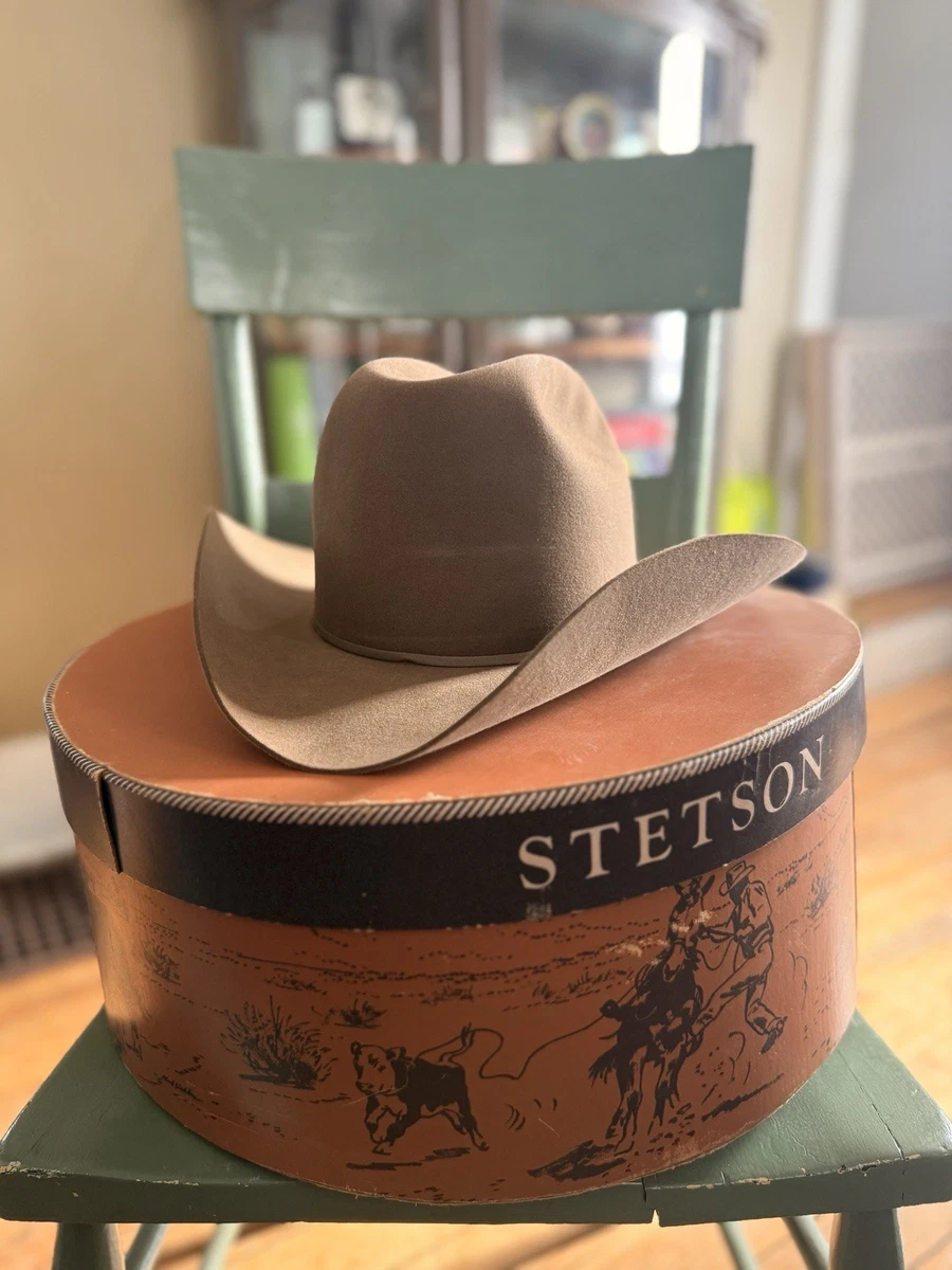 Stetson Beaver Vintage Hats for Men for sale | eBay