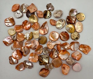 55 + Mixed Lot Orange Tones Mixed Shells Lot Mother of Pearl Drilled Pieces - Picture 1 of 8