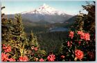 Postcard Oregon Mount Hood and Lost Lake OR Rhododendron Ray Atkeson