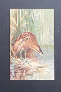 Birds , The R S Art Press R S Series - Picture 1 of 2