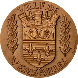 [#68622] Frankreich, Medal, French Fifth Republic, Politics, Society, War, Tschy - Picture 1 of 2