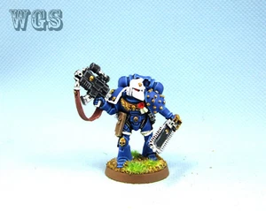 Warhammer 40k WGS painted Space Marines Sternguard Veteran with boltgun SM050 - Picture 1 of 5