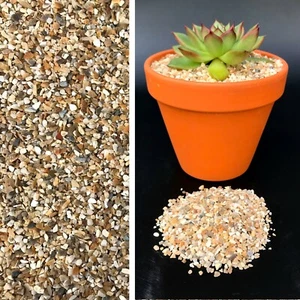 2-3mm Corn Flint Fine Dressing Gravel Cactus Succulent Bonsai Plant Pot Topper - Picture 1 of 9