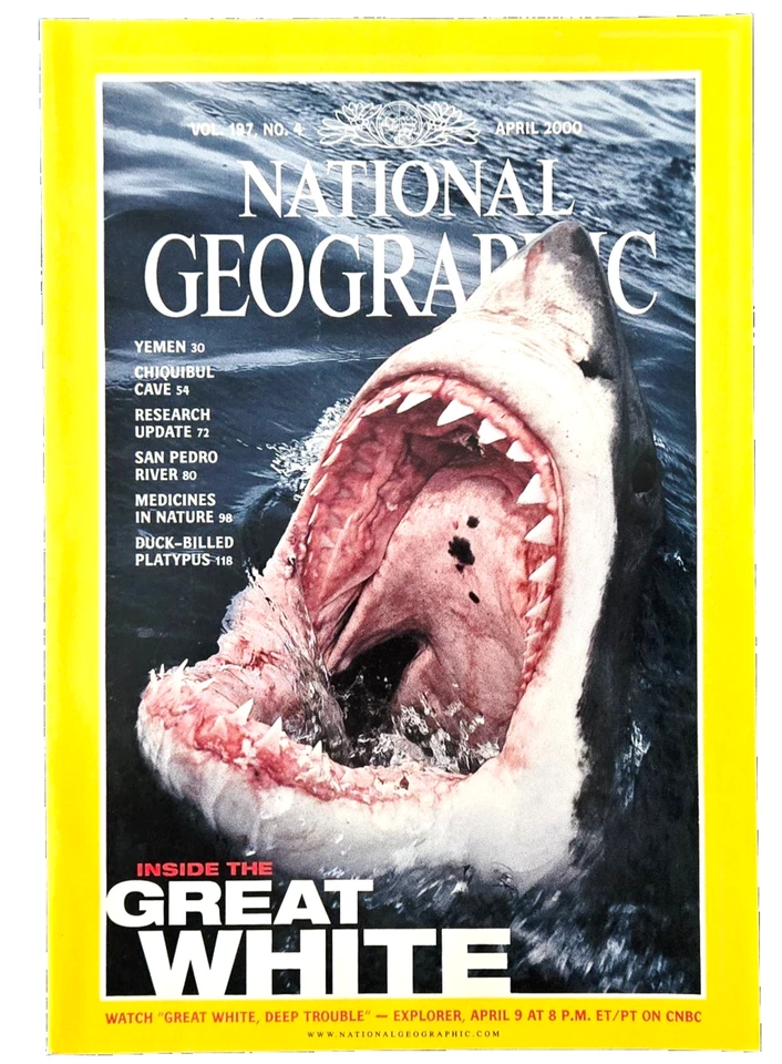 INSIDE THE GREAT WHITE SHARK  APRIL 2000 NATIONAL GEOGRAPHIC MAGAZINE - Image 1 of 4