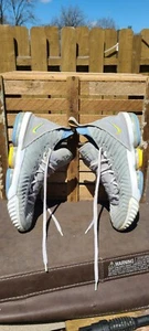 Men's Size 11 Nike LeBron XVI EP 16 LBJ Lakers MPLS CK4765-001 Grey White Shoes - Picture 1 of 12