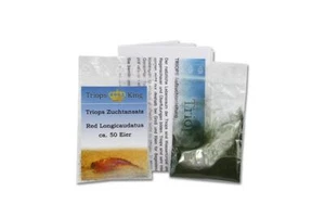Triops Red Longicaudatus Kaulquappe Garnelen Starterset von Triops King Triops + Futter - Bild 1 von 36