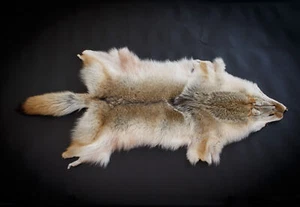 Kanadisches Coyotenfell - Qualität B | Fell Pelz Echtpelz Kojotenfell Kojote - Bild 1 von 4