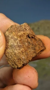 Jurassic Ichthyosaurus Knochen. Faringdon Oxfordshire. Verpackt mit Informationen. 32 mm - Bild 1 von 4