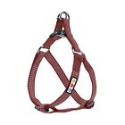 Pawtitas Dog Harness for Large Dogs Marsala Brown Dog Harness Step in from a ...