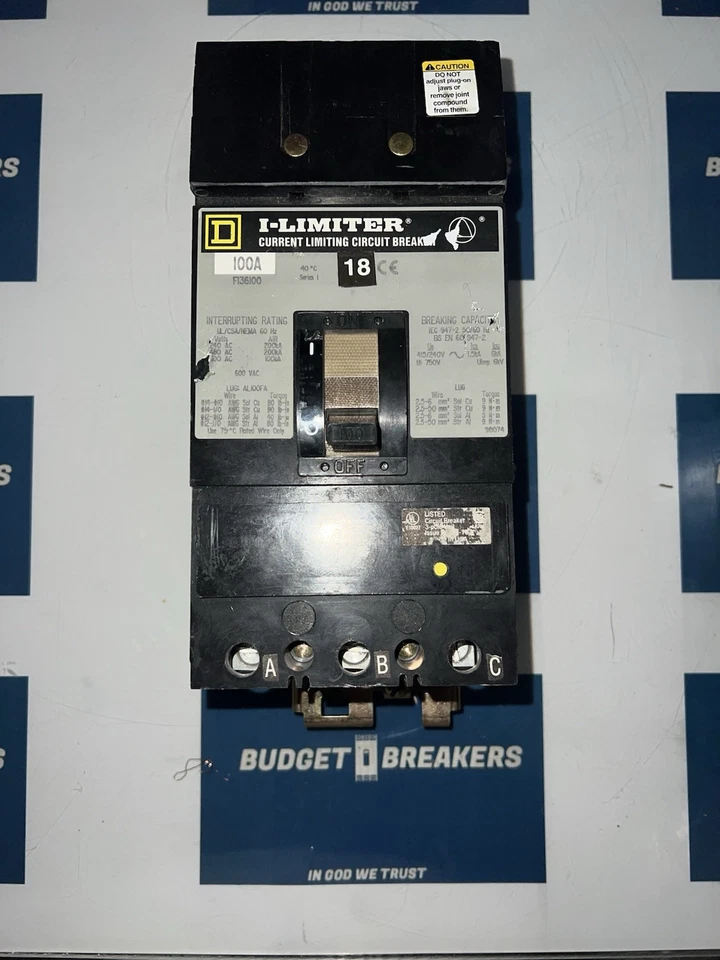 FI36100 - 方形 D - 模压外壳断路器 — 第 1/1 张图片