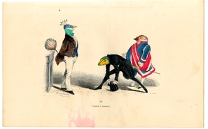 35. Caricature Engraving Signed Grandville. "The Metamorphoses of the Day, 1869" - Picture 1 of 2