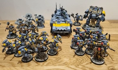 1000PT+ Space Wolves Army + Terminators, Codex, Datacards, Dice and more - Image 1 of 4