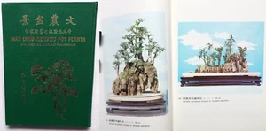 Man Lung Artistic Pot Plants, 1974, Hong Kong, Bonsai, Chinese & English  景盆 農 文 - Picture 1 of 24
