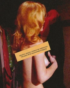 Foto 8x10 Ann Margret marco de película estrella de cine bastante sexy, 1971, ÚLTIMO - Imagen 1 de 1