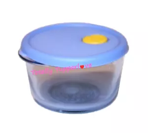 Tupperware Rock N Serve Kühlschrank Magnet Mini winzige Schätze Gadget blau ❤️ - Bild 1 von 2