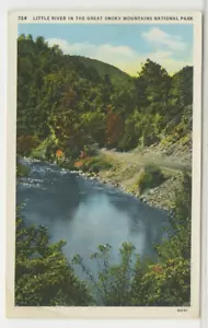 TN Cartolina Veduta di Little River - Grande Montagna Fumosa Parco Nazionale Linen PP - Foto 1 di 2