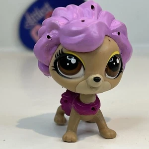 Dania Duncan Cat #3692 - Authentic Littlest Pet Shop - Hasbro LPS - Bild 1 von 4