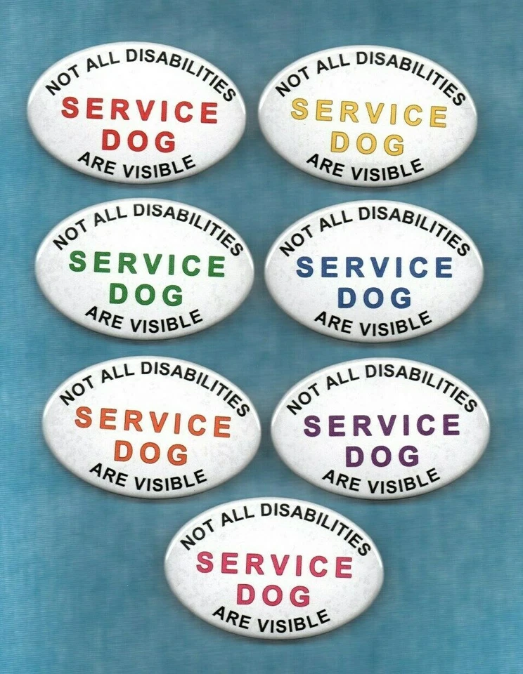 SERVICE DOG NOT ALL DISABILITIES ARE - 7 colors - service dog button w/pin back - Image 1 of 1