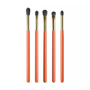 5 Stück Blau Eichhörnchen Ziegenhaar Augenpinsel Kit Pro Handgefertigt Make-up Pinsel Set - Bild 1 von 8