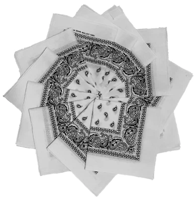 Pañuelos Kaiser Paisley - 1, 3, 6, 12 piezas (21 pulgadas x 21 pulgadas) Foto 1 de 4