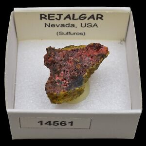 REJALGAR (Nevada, USA) #14561 / Realgar