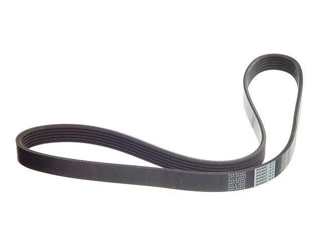 Cinturón multi costilla aire acondicionado a alternador para Infiniti I35 2002-2004 99XKPX Foto 1 de 1