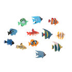 12 pcs Mini Tropical Ocean Fish Toy Gift Sea Life Model Pool Education 。qo