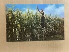 Postcard Farmer Where the Corn Grows Tall Corn Field Farming Harvest Vintage PC