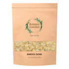 Botanic Garden Raw Babool Gond Or Gum Acacia Nilotica Herb 100% Pure Herb