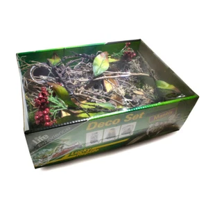 Lucky Reptile Life Experience Jungle Desert Mantis Stick Insect Set Up Terrarium - Picture 1 of 1