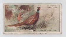 1927 Player's Game Birds and Wild Fowl Tobacco Common Pheasant #29 m5x
