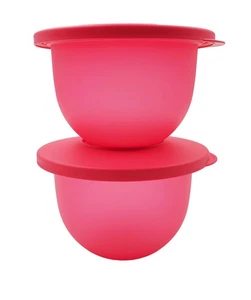 Juego de mini recipientes redondos Tupperware Frambuesa Plástico Expresión 550 ml (2) - Imagen 1 de 8
