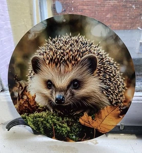 HEDGEHOG - Round Metal Aluminium Plaque Wall Art Present Gift - Picture 1 of 2