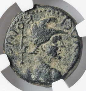 Moneda antigua romana de bronce LYCAONIA Iconium Emperador Tito 79 dC elección NGC D215 - Imagen 1 de 6