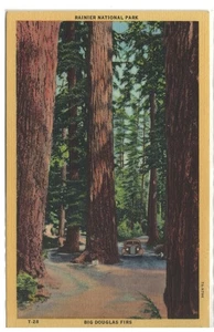 Vintage Linen Postcard Ranier National Park WA #1797 - Picture 1 of 2