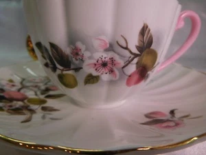 Shelley Baileys Wild Apple Ludlow Form Tasse (Haaransatz Sprung) Und Untertasse - Picture 1 of 10