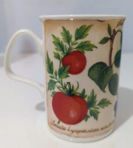 Vintage Roy Kirkham English Bone China Mug Parchment Fruit 2000 - Picture 1 of 6