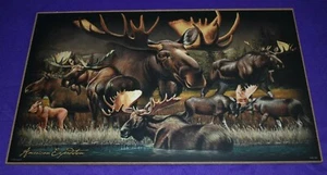 WILDLIFE MOOSE COLLAGE INDOOR PLAQUE 10"x16" - Picture 1 of 5