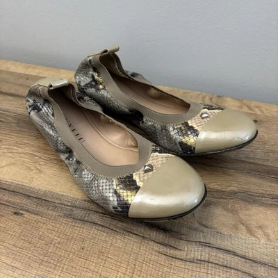 Anyi Lu Cate многоцветный рептилии печати лакированная кожа балет плоский туфли 9,5 - Изображение 1 из 4
