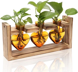 Plant Terrarium Propagation Stations Hydroponics Home Garden Decoration Gift for - Picture 1 of 12