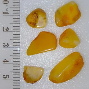 Baltic Amber polished matte natural gemstones loose pieces bundle lot 26.2ct - Picture 1 of 7