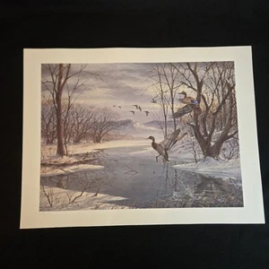 David Maass "Mallards in Winter" Print, NO FRAME - Picture 1 of 5