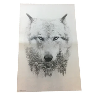 Großdruck Poster 22" x 34" Wolfskopf Bäume Winter Schnee Kanada - Bild 1 von 3