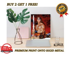 Conan The Destroyer Classic Movie Premium METAL Poster Art Print Plaque Gift