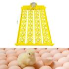 Automatic Egg Incubator 32 Eggs Poultry Hatcher for Chickens Ducks   Birds