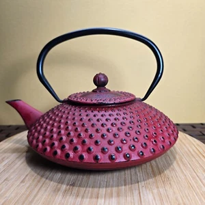 Japanese Xilon Cast Iron Teapot Never Used Enamel Interior - Picture 1 of 9