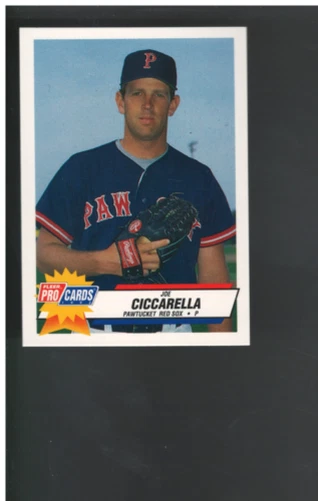 B3144- 1993 Fleer/ProCards Minors BB Cards Group12 -You Pick- 15+ FREE US SHIP - Image 1 of 1