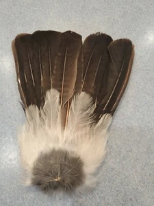 X Eurasian Blue Jay Bird Full Tail Feathers JB27 - Picture 1 of 1
